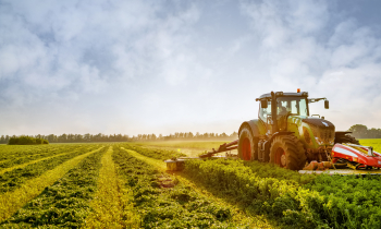 Técnico em Agronegócio